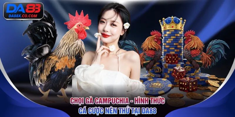 Chọi gà Campuchia